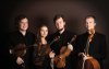 2016-Arisva-Quartett-6782-web